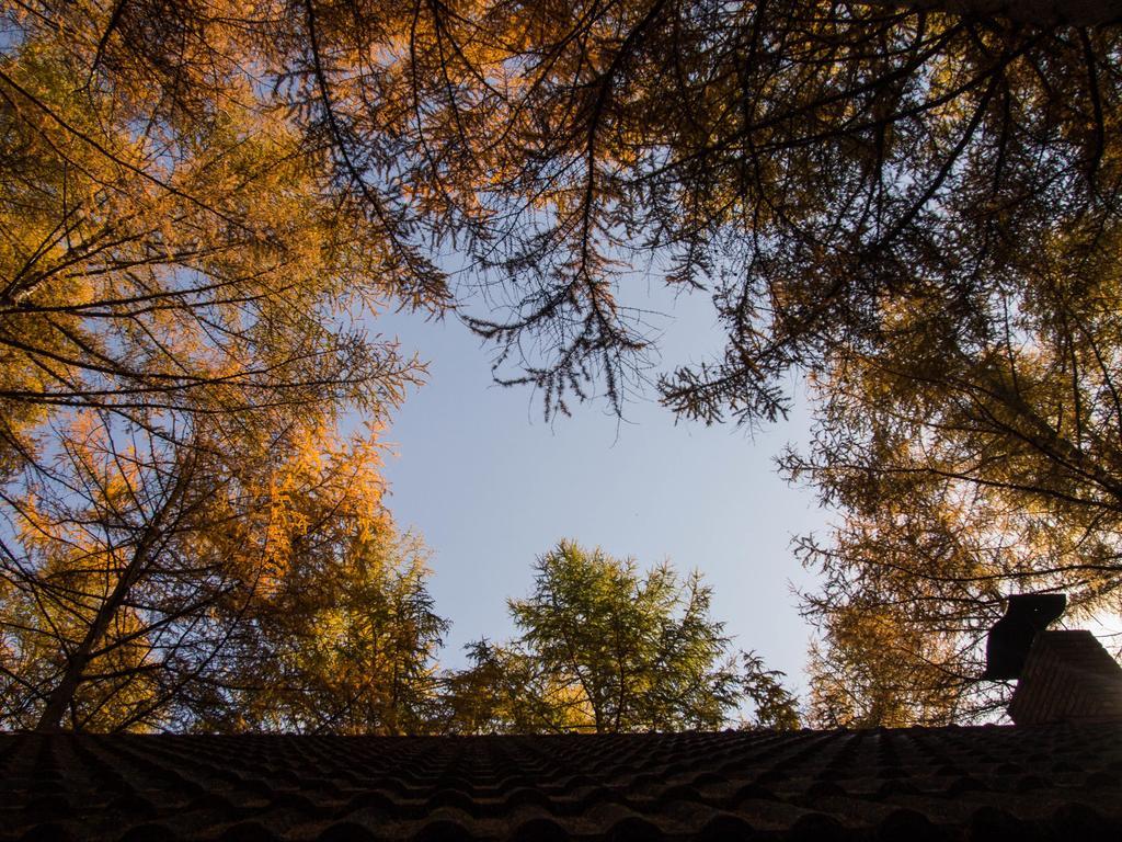 Guesthouse Canterbury Nakasatsunai Εξωτερικό φωτογραφία